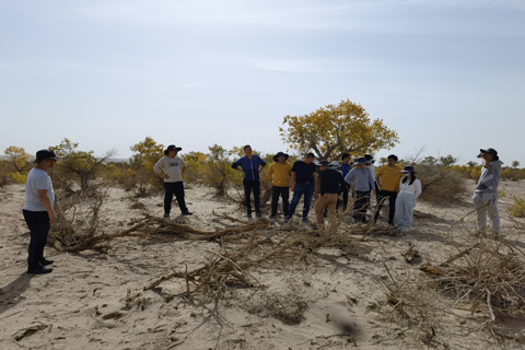 首页 - CG电子官方网站