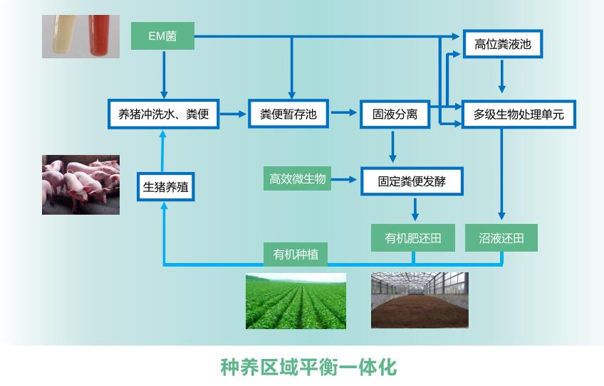 Ag亚洲集团(中国区)官方网站